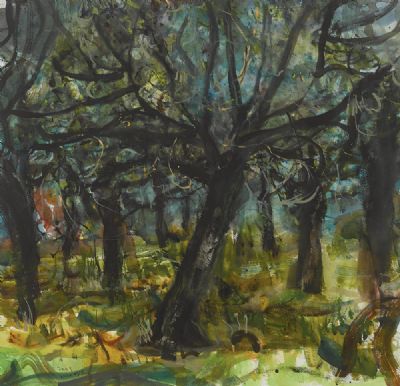 OLIVE GROVE, FRANCE by Nick Miller sold for €1,300 at deVeres Auctions