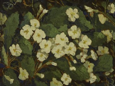 PRIMROSES by Mabel Young  at deVeres Auctions