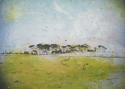 PARLOUS LAND by Elizabeth Magill  at deVeres Auctions