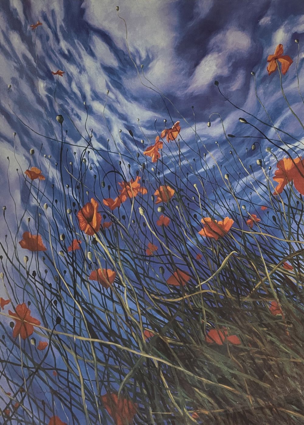 STORM OF POPPIES by RASHER sold for €260 at deVeres Auctions