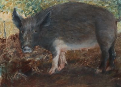 THE NEIGHBOURS PIG by Jenny Richardson  at deVeres Auctions