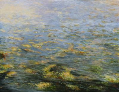 RIVERWEED 2 by Tim Goulding sold for €2,000 at deVeres Auctions