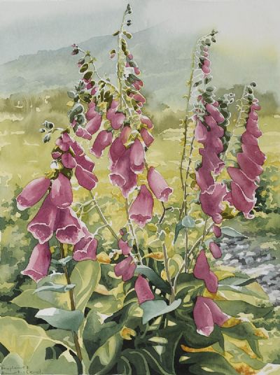 FOXGLOVES by Anne McLeod sold for €220 at deVeres Auctions