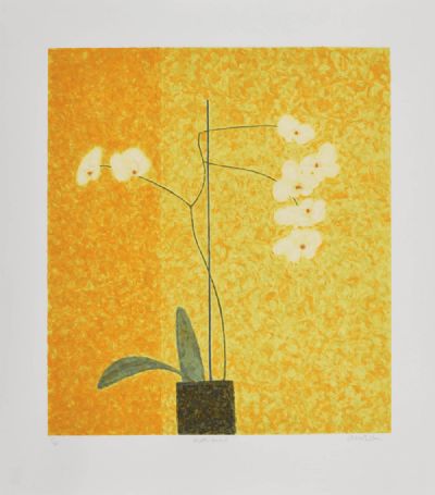 MOTH ORCHID by Abigail McLellan sold for €100 at deVeres Auctions