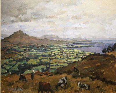 FEBRUARY FIELD - CO. MEATH by Desmond Hickey sold for €280 at deVeres Auctions