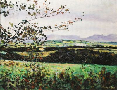INCH, CO KERRY by Diarmuid Boyd  at deVeres Auctions