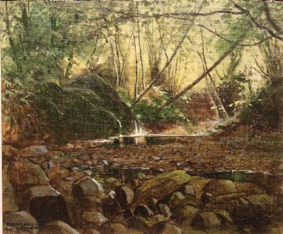 LEAFY POOL (DUNAVEE) by Padraig Lynch sold for €90 at deVeres Auctions
