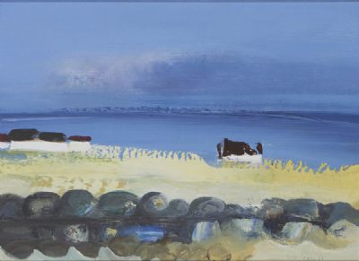 COTTAGES by THE SEA by Daniel O'Neill  at deVeres Auctions