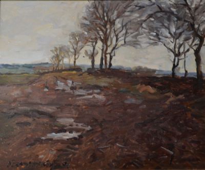 FEBRUARY FIELD - CO. MEATH by Desmond Hickey  at deVeres Auctions