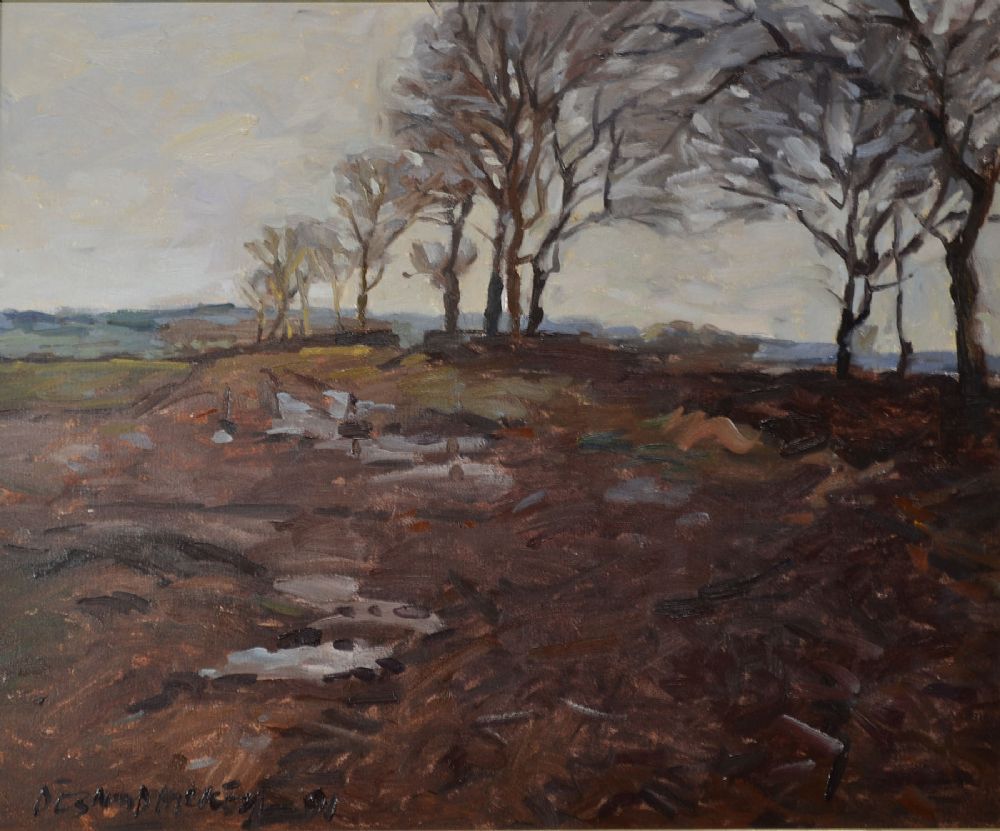 Lot 139 - FEBRUARY FIELD - CO. MEATH by Desmond Hickey