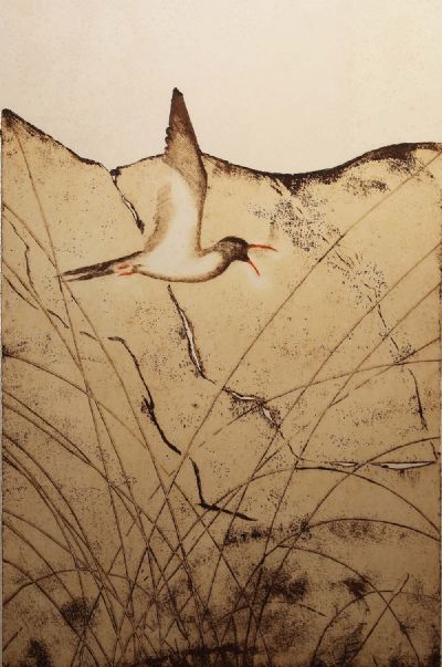 TERN IN GLENMALURE by Patrick Hickey  at deVeres Auctions