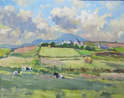 MIDSUMMER CO. DONEGAL by Robert Taylor Carson  at deVeres Auctions