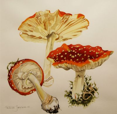 THREE RED TOADSTOOLS by Patricia Jorgensen  at deVeres Auctions