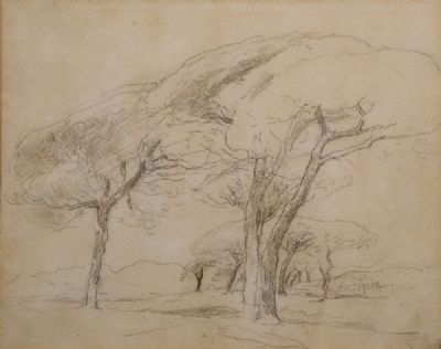 SKETCH OF TREES by Nathaniel Hone sold for €650 at deVeres Auctions