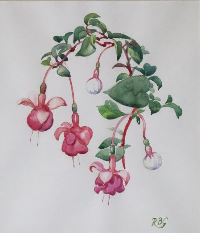 FUSCHIA by Rosaleen Brigid Ganly sold for €280 at deVeres Auctions