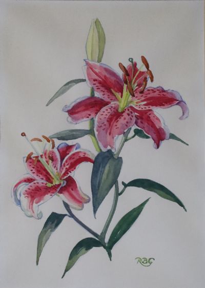 STARGAZER LILY by Rosaleen Brigid Ganly sold for €200 at deVeres Auctions