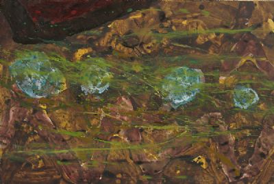 LAKE ALGAE by Barrie Cooke  at deVeres Auctions