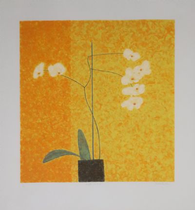 MOTH ORCHID by Abigail McLeallan  at deVeres Auctions
