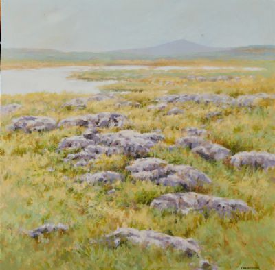 AFTER SUMMER RAIN, MEAR MULLAGHMORE (THE BUREN) by Trevor Geoghegan sold for €2,400 at deVeres Auctions